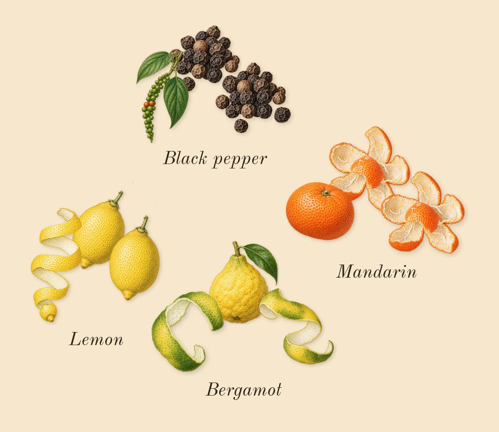 Néroli Amara, top notes: Lemon, Mandarin, Bergamot, Black pepper
