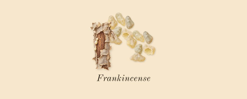 Vanilla Barka, dry-down: Frankincense