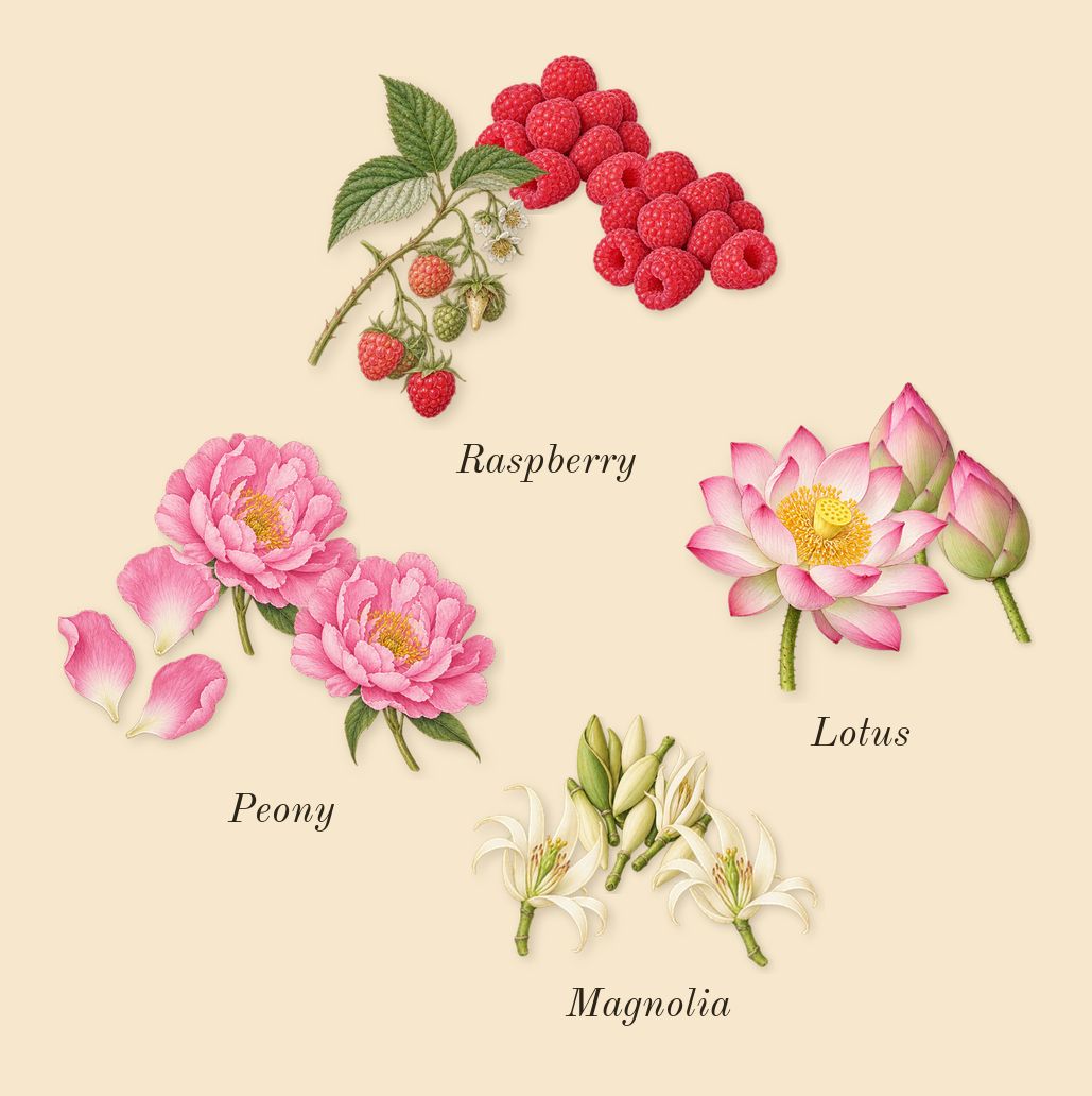 Bright Crystal Absolu, heart: Peony, Magnolia, Lotus, Raspberry
