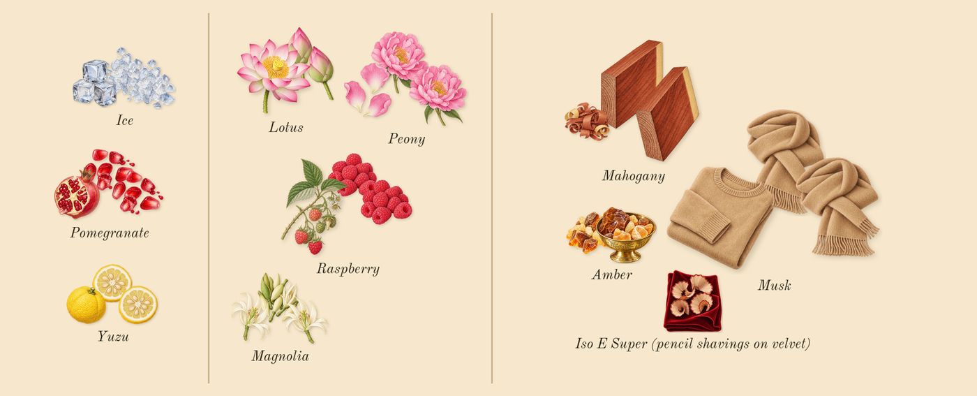 Bright Crystal Absolu’s scent picture, a draft: yuzu, ice, pomegranate, peony, magnolia, lotus drawn so far; dashed outlines where nothing is drawn yet