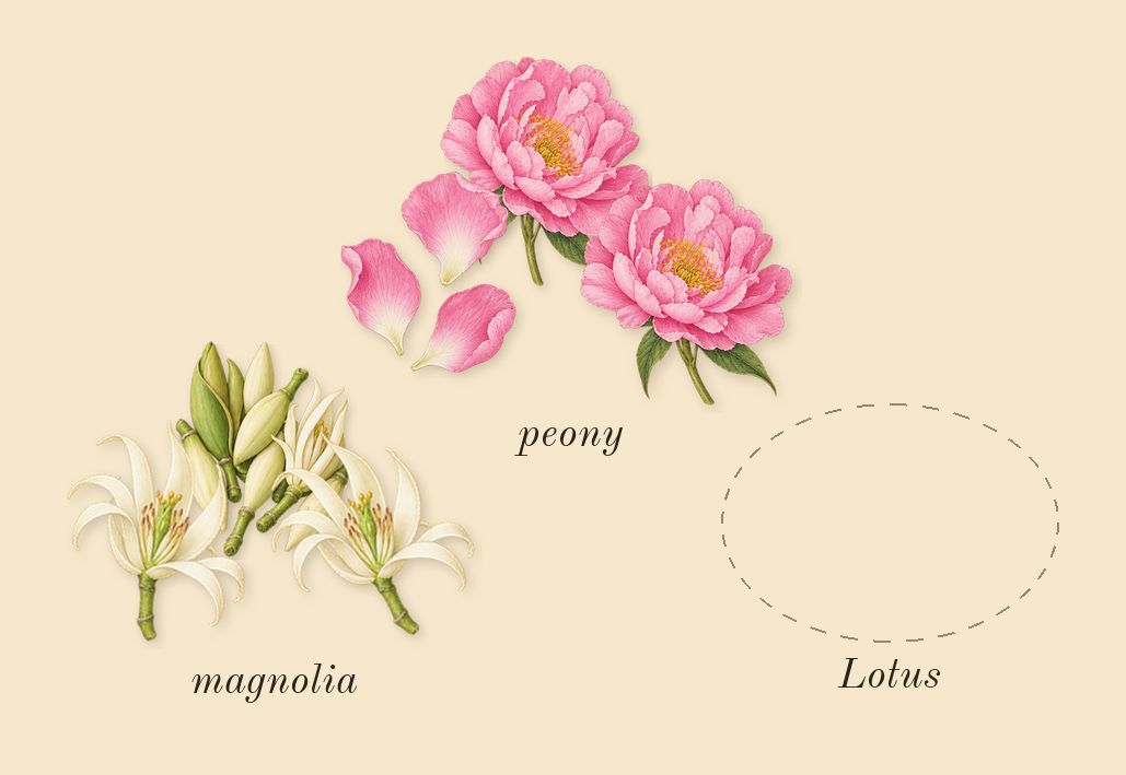 Bright Crystal, heart: peony, magnolia, Lotus
