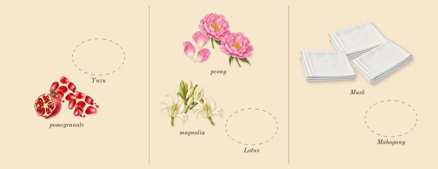 Bright Crystal’s scent picture, a draft: pomegranate, peony, magnolia, musk drawn so far; dashed outlines where nothing is drawn yet