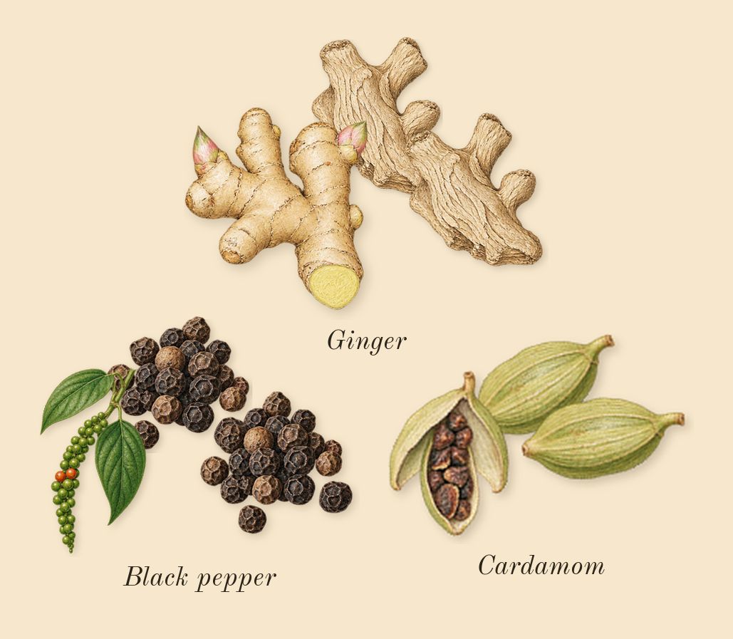 Crystal Noir, top notes: Cardamom, Black pepper, Ginger
