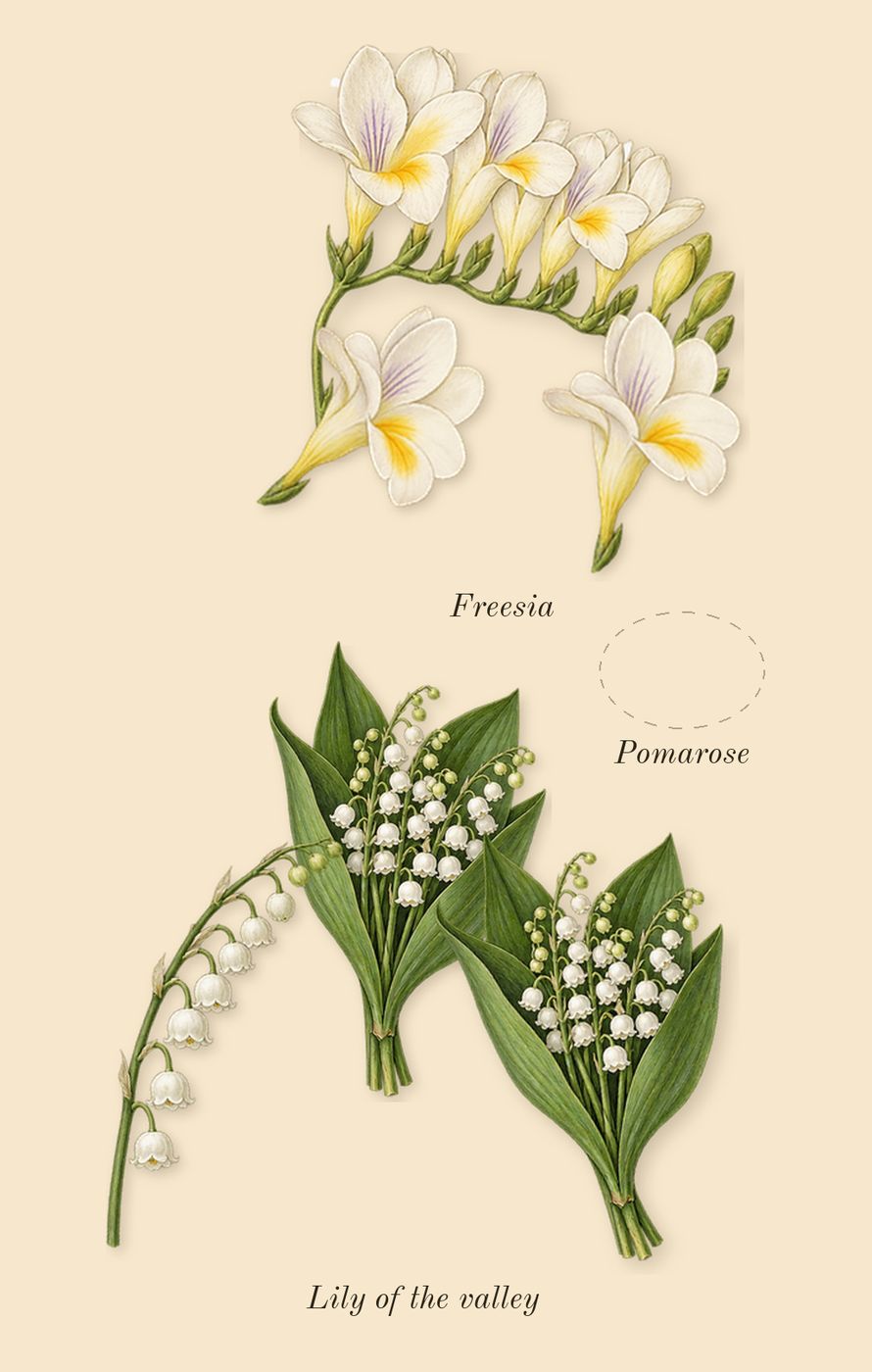 Dylan Purple, heart: Freesia, Pomarose, Lily of the valley