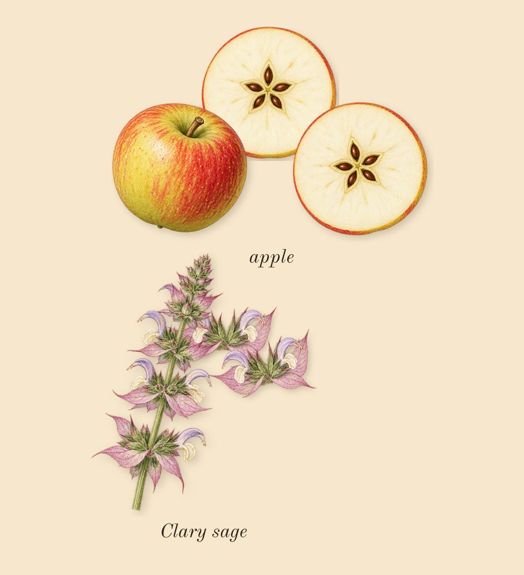 Eros, heart: apple, Clary sage