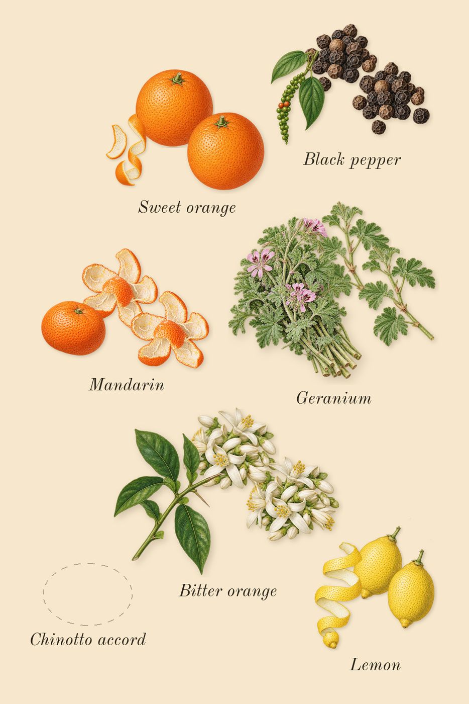 Eros Flame, top notes: Chinotto accord, Black pepper, Lemon, Mandarin, Bitter orange, Geranium, Sweet orange