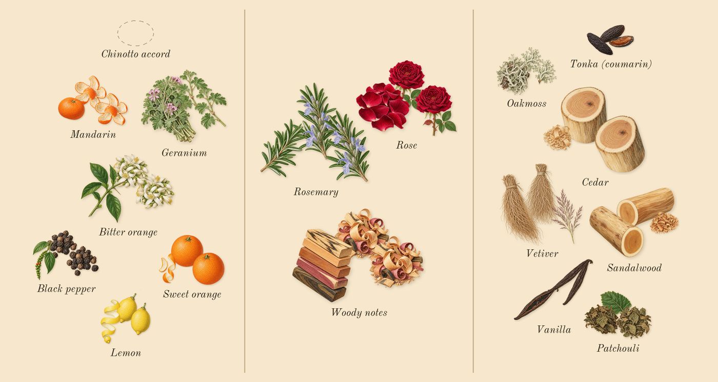 Eros Flame’s scent picture, a draft: black pepper, rosemary, woody notes, patchouli, vetiver, vanilla drawn so far; dashed outlines where nothing is drawn yet