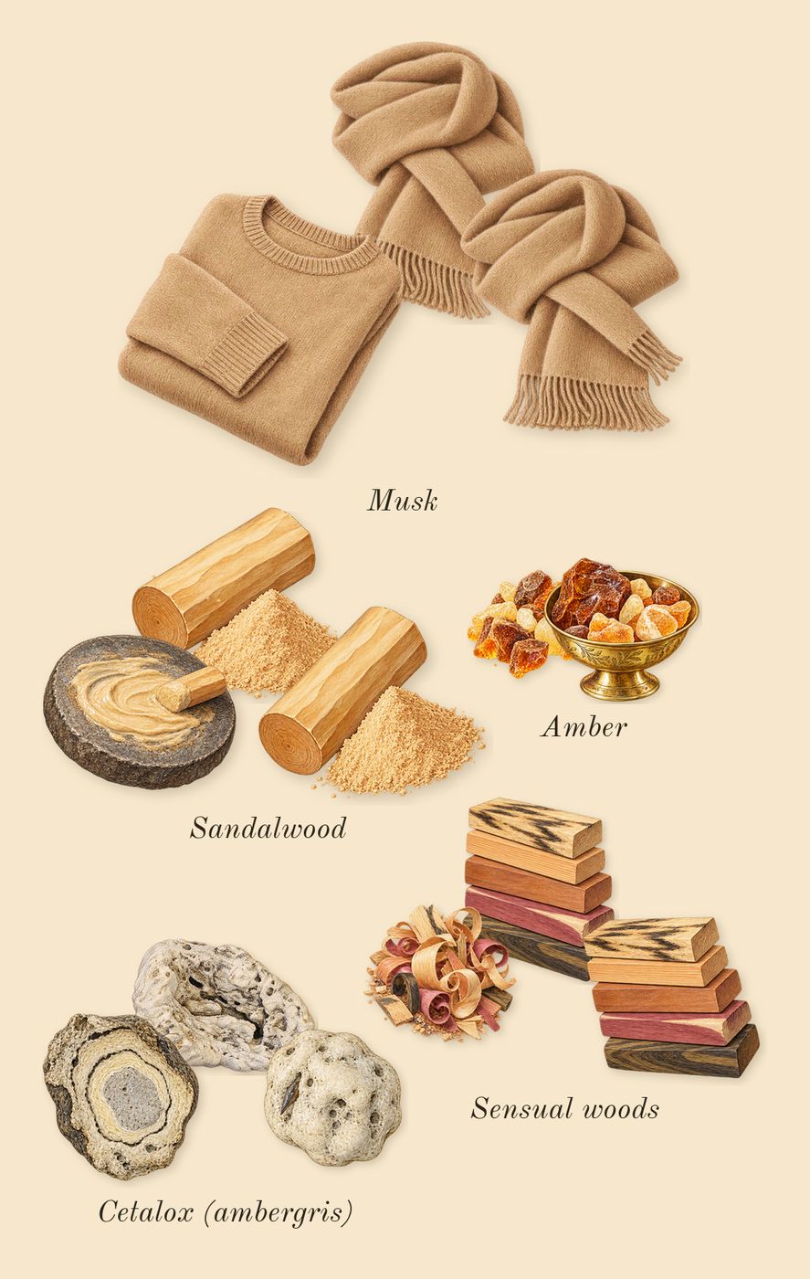 Eros Pour Femme, dry-down: Sandalwood, Amber, Musk, Sensual woods, Cetalox (ambergris)