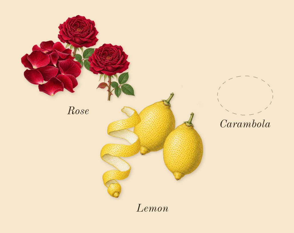 Man Eau Fraîche, top notes: Lemon, Rose, Carambola