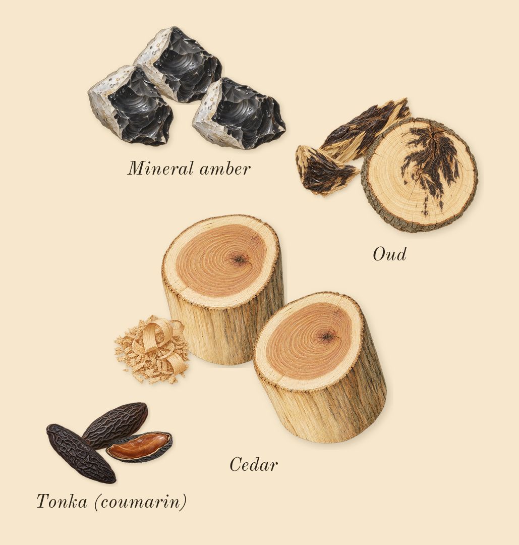 Pour Homme, dry-down: Oud, Mineral amber, Cedar, Tonka (coumarin)