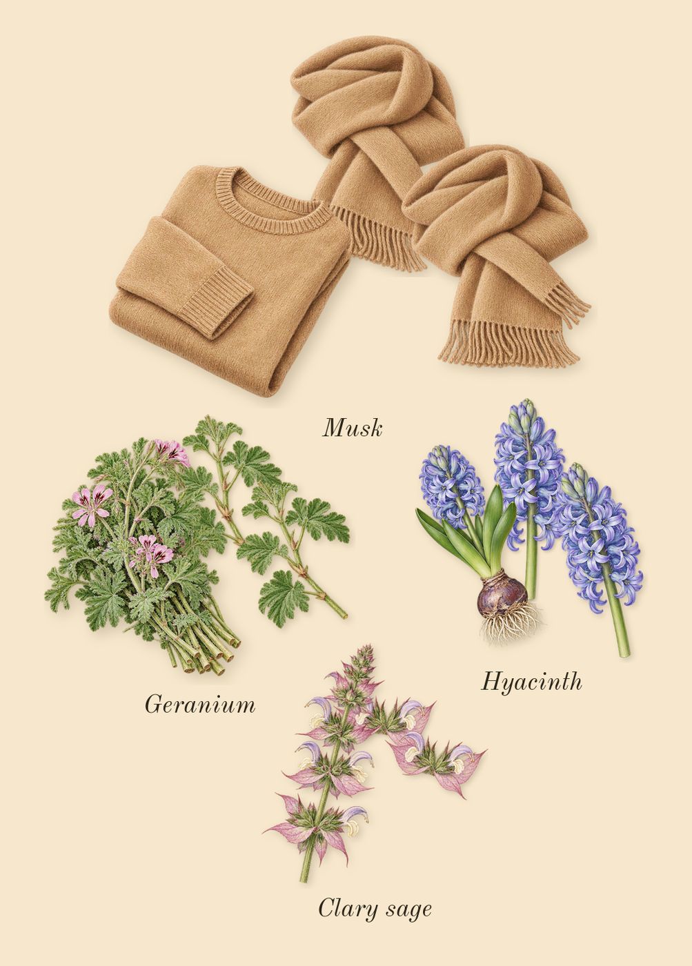 Pour Homme, heart: Geranium, Clary sage, Hyacinth, Musk