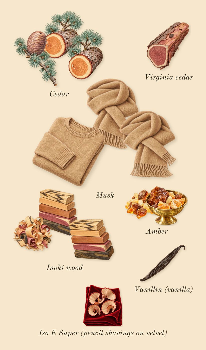 Woman, dry-down: Cedar, Amber, Musk, Inoki wood, Virginia cedar, Iso E Super (pencil shavings on velvet), Vanillin (vanilla)