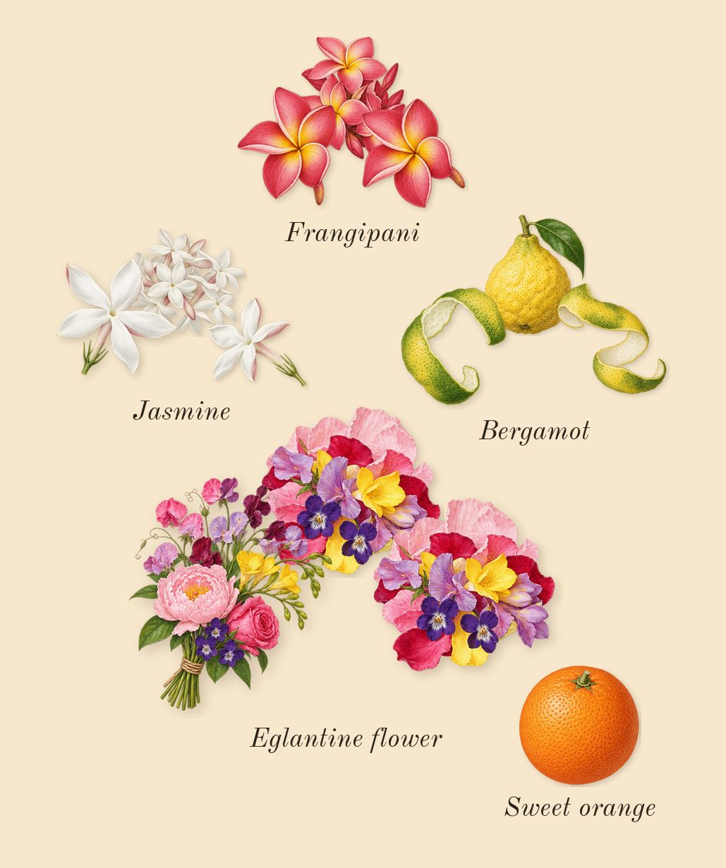 Woman, top notes: Frangipani, Jasmine, Bergamot, Eglantine flower, Sweet orange