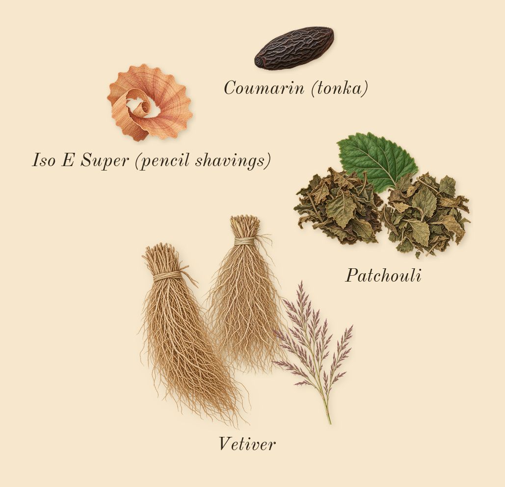 Portofino '97, dry-down: Vetiver, Patchouli, Iso E Super (pencil shavings), Coumarin (tonka)