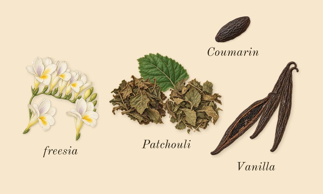 Flowerbomb, dry-down: freesia, Patchouli, Vanilla, Coumarin