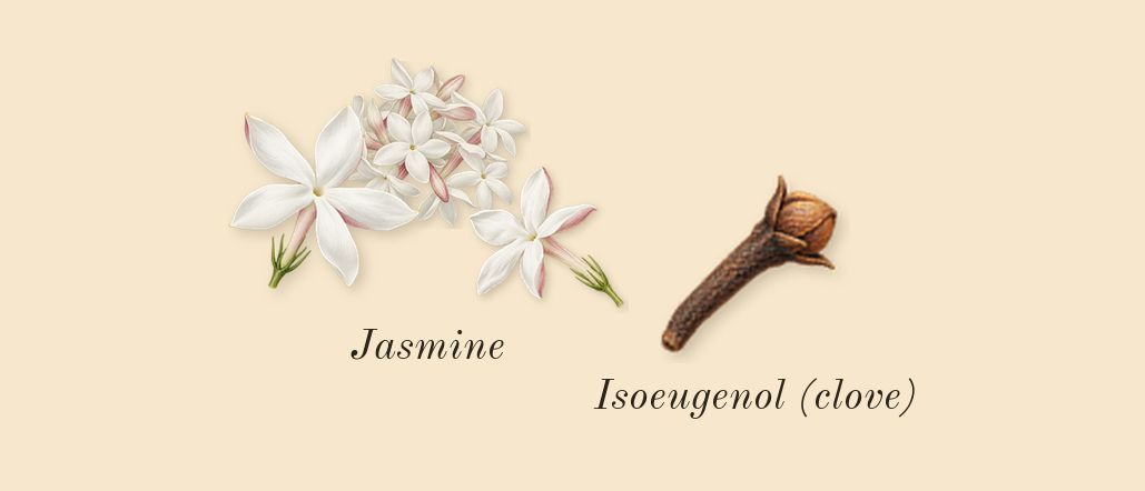 Good Fortune, heart: Jasmine, Isoeugenol (clove)