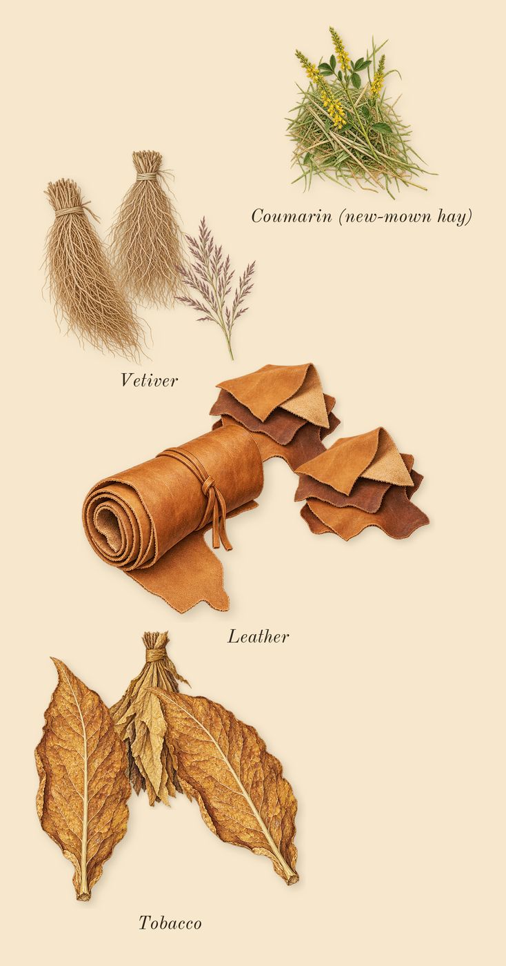 Spicebomb, dry-down: Leather, Tobacco, Vetiver, Coumarin (new-mown hay)