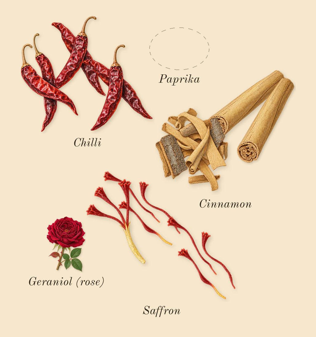 Spicebomb, heart: Cinnamon, Saffron, Paprika, Chilli, Geraniol (rose)