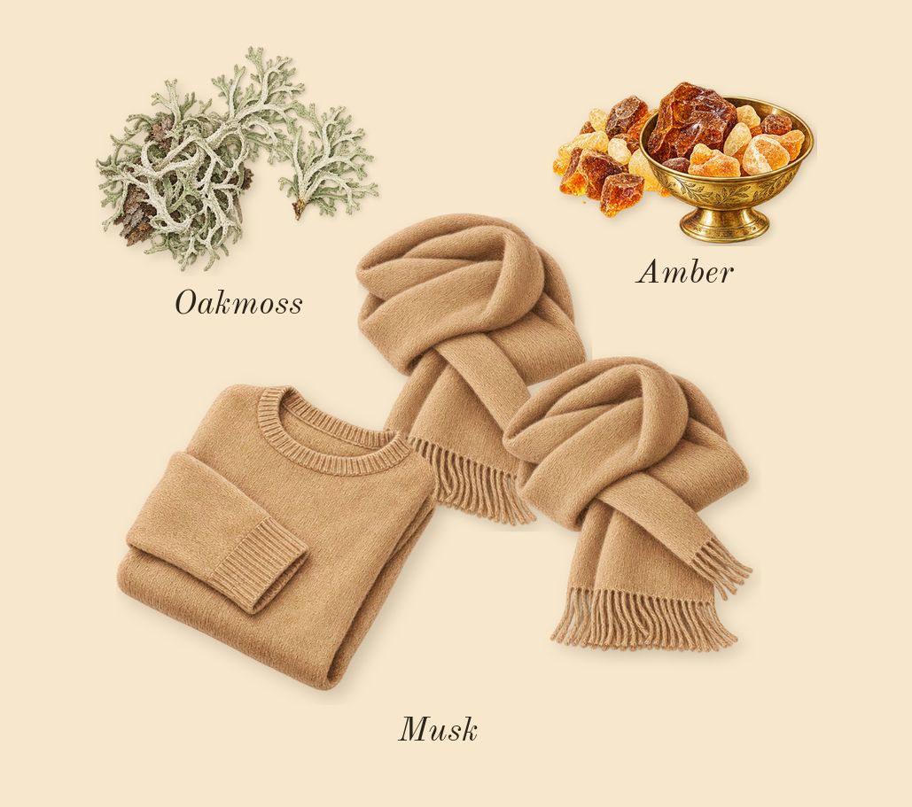 Dear Polly, dry-down: Oakmoss, Musk, Amber