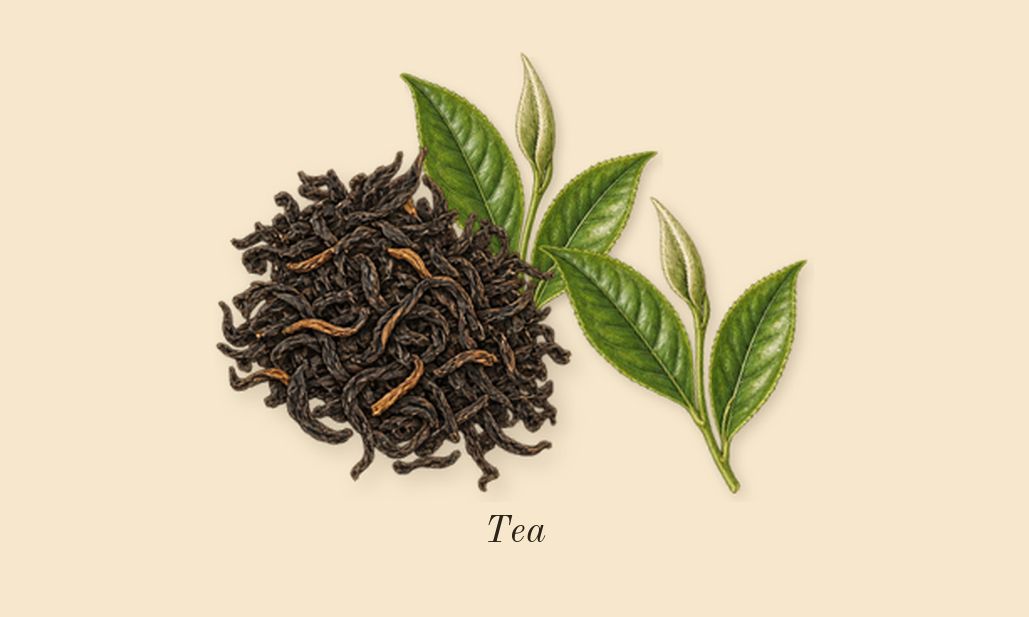 Dear Polly, heart: Tea