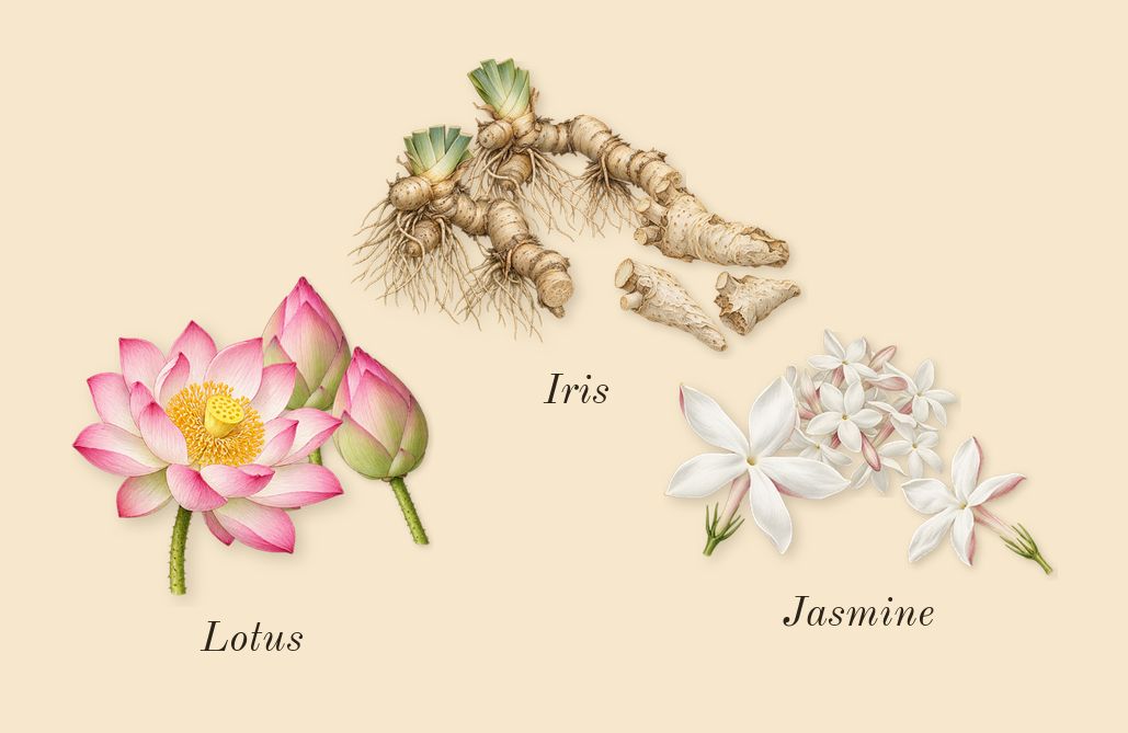Mango Skin, heart: Iris, Lotus, Jasmine