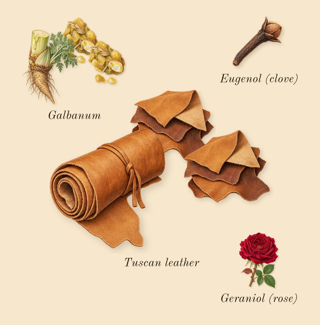 Morning Chess, heart: Tuscan leather, Galbanum, Geraniol (rose), Eugenol (clove)