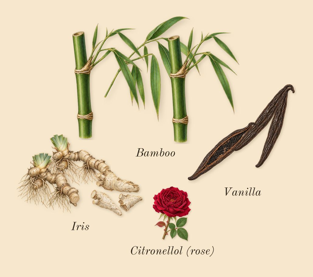 Poets of Berlin, heart: Vanilla, Iris, Bamboo, Citronellol (rose)