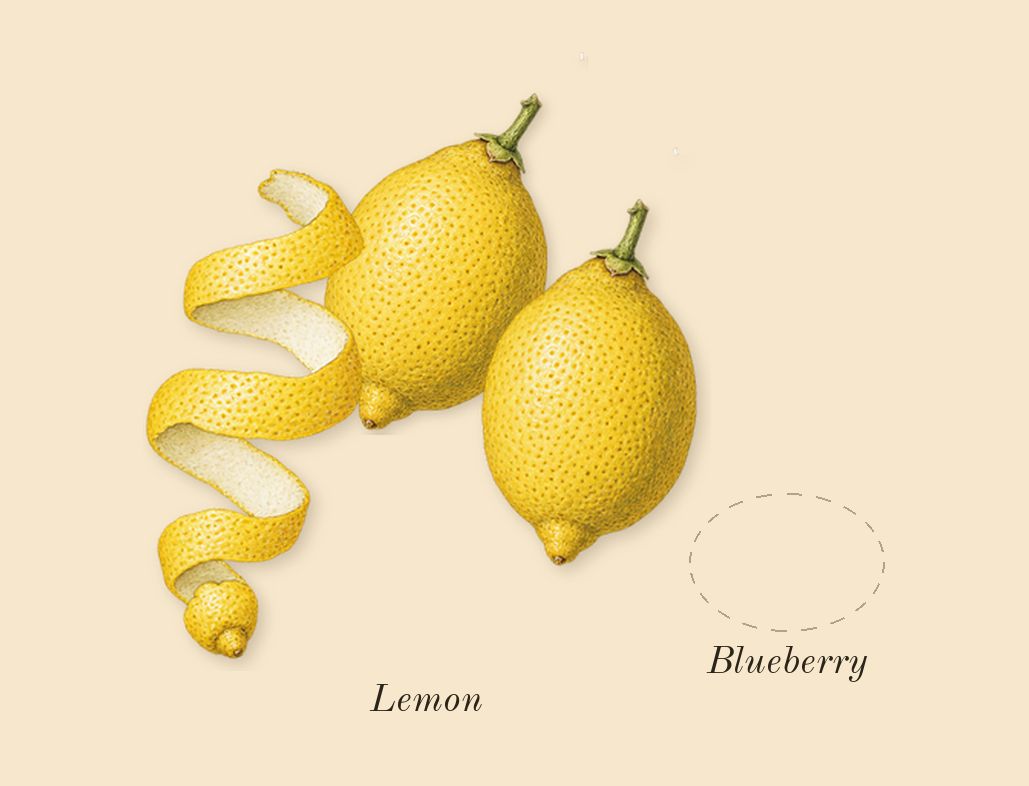 Poets of Berlin, top notes: Blueberry, Lemon