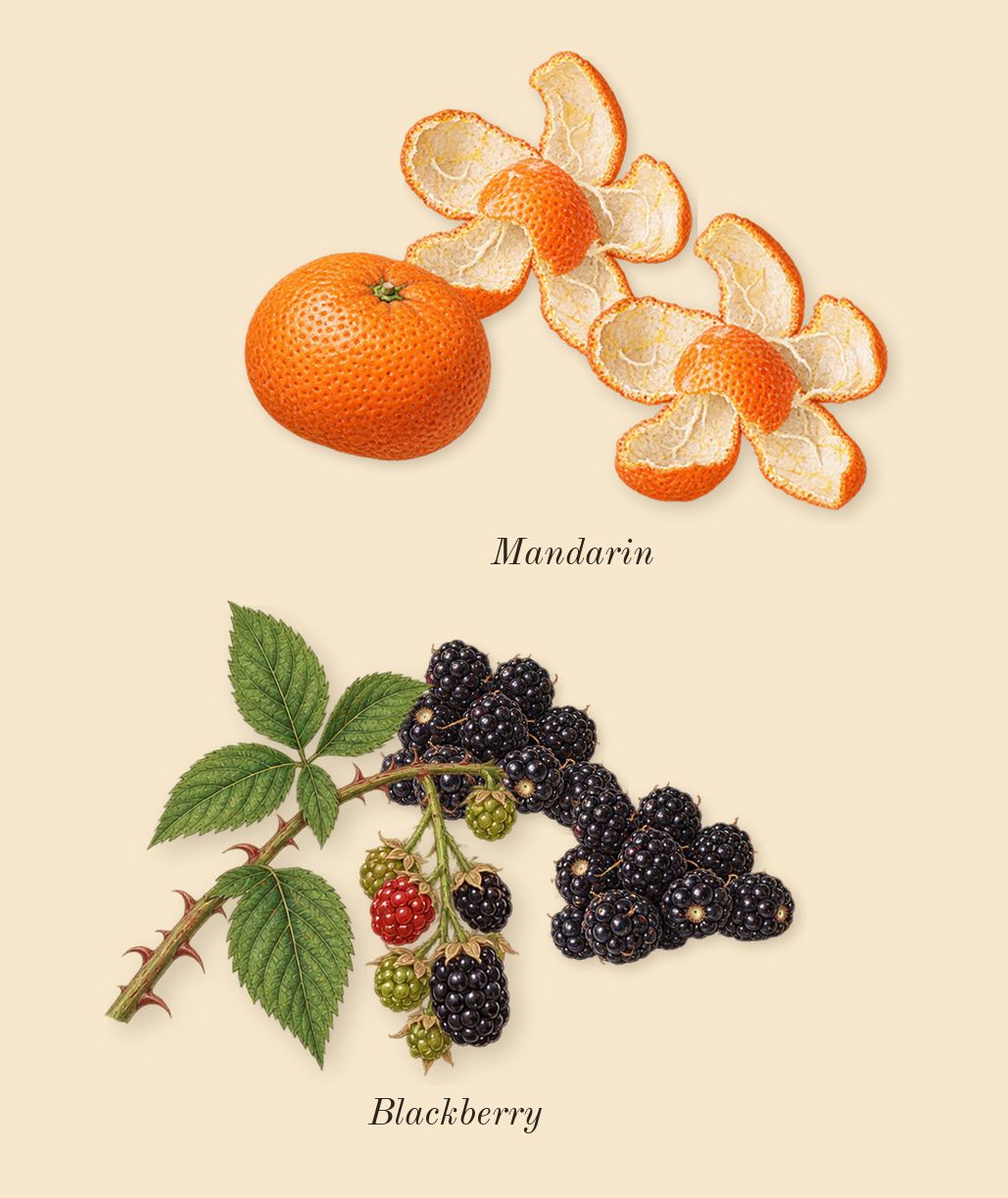 Room Service, top notes: Mandarin, Blackberry