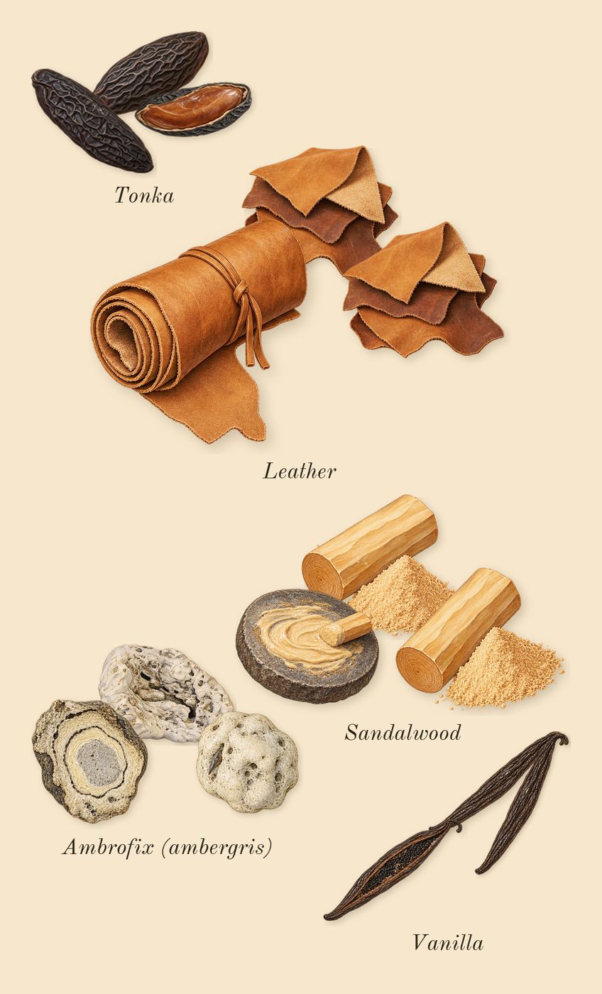 Hypnotic Amber, dry-down: Tonka, Vanilla, Ambrofix (ambergris), Leather, Sandalwood