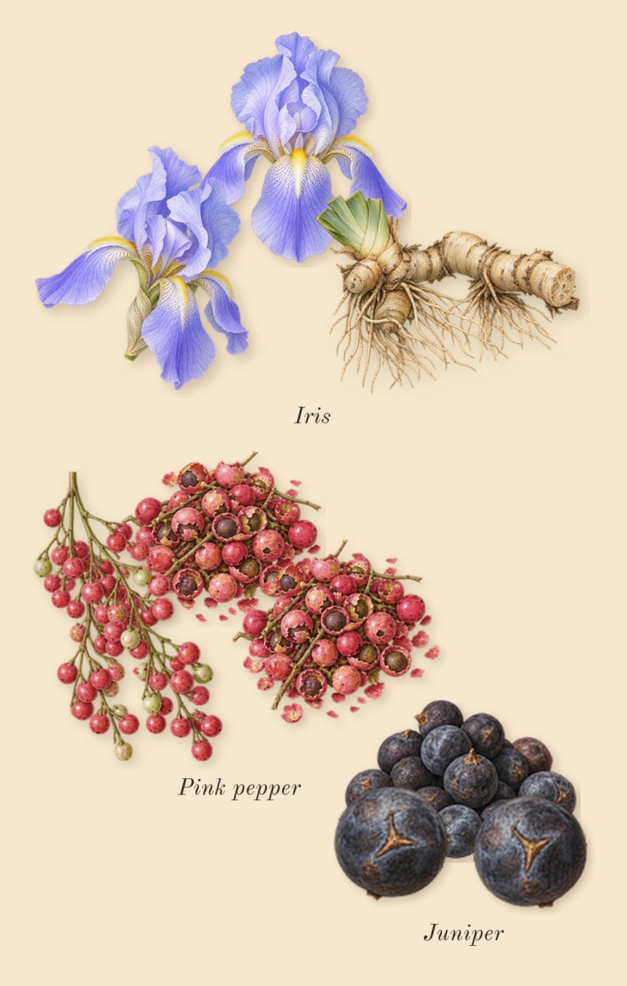 Hypnotic Amber, top notes: Pink pepper, Juniper, Iris