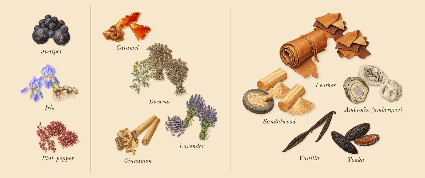 Hypnotic Amber’s scent picture, a draft: pink pepper, juniper, iris, caramel, cinnamon, lavender drawn so far; dashed outlines where nothing is drawn yet
