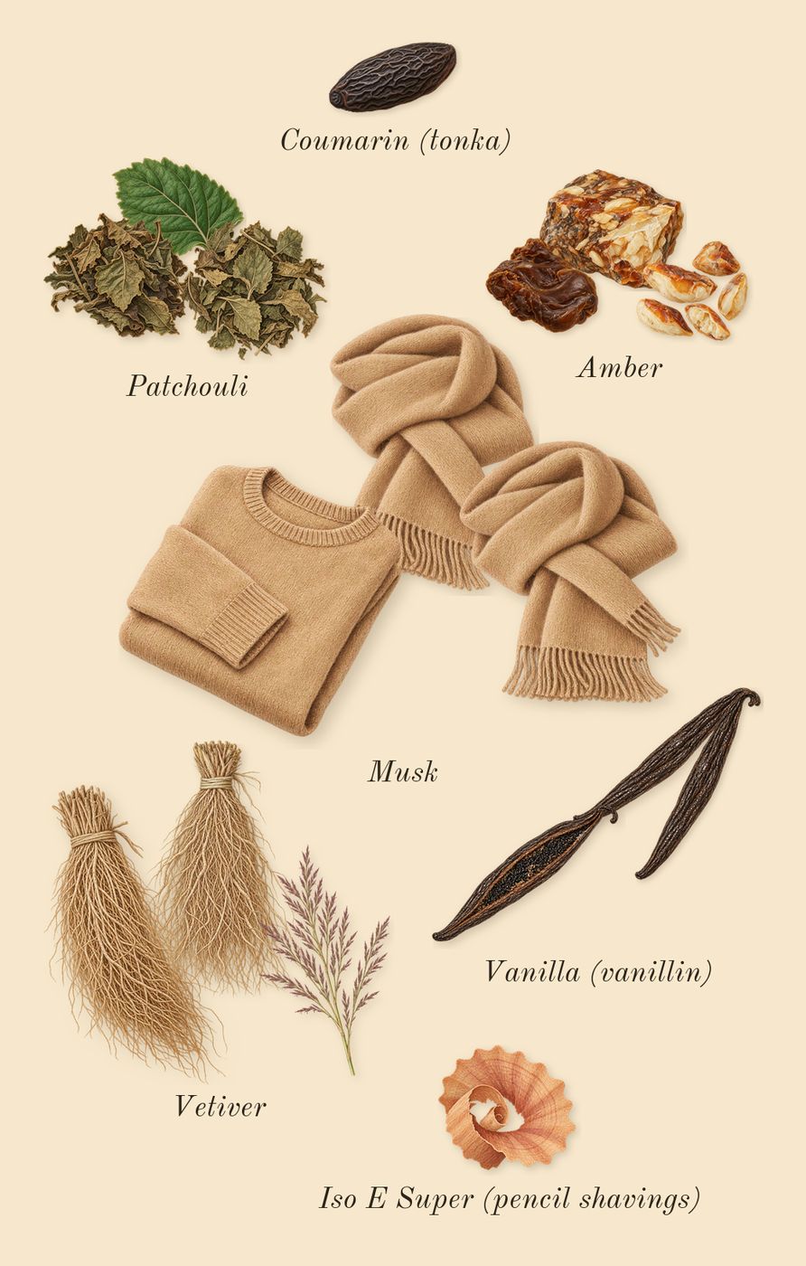 Accento, dry-down: Amber, Musk, Vanilla (vanillin), Patchouli, Vetiver, Iso E Super (pencil shavings), Coumarin (tonka)