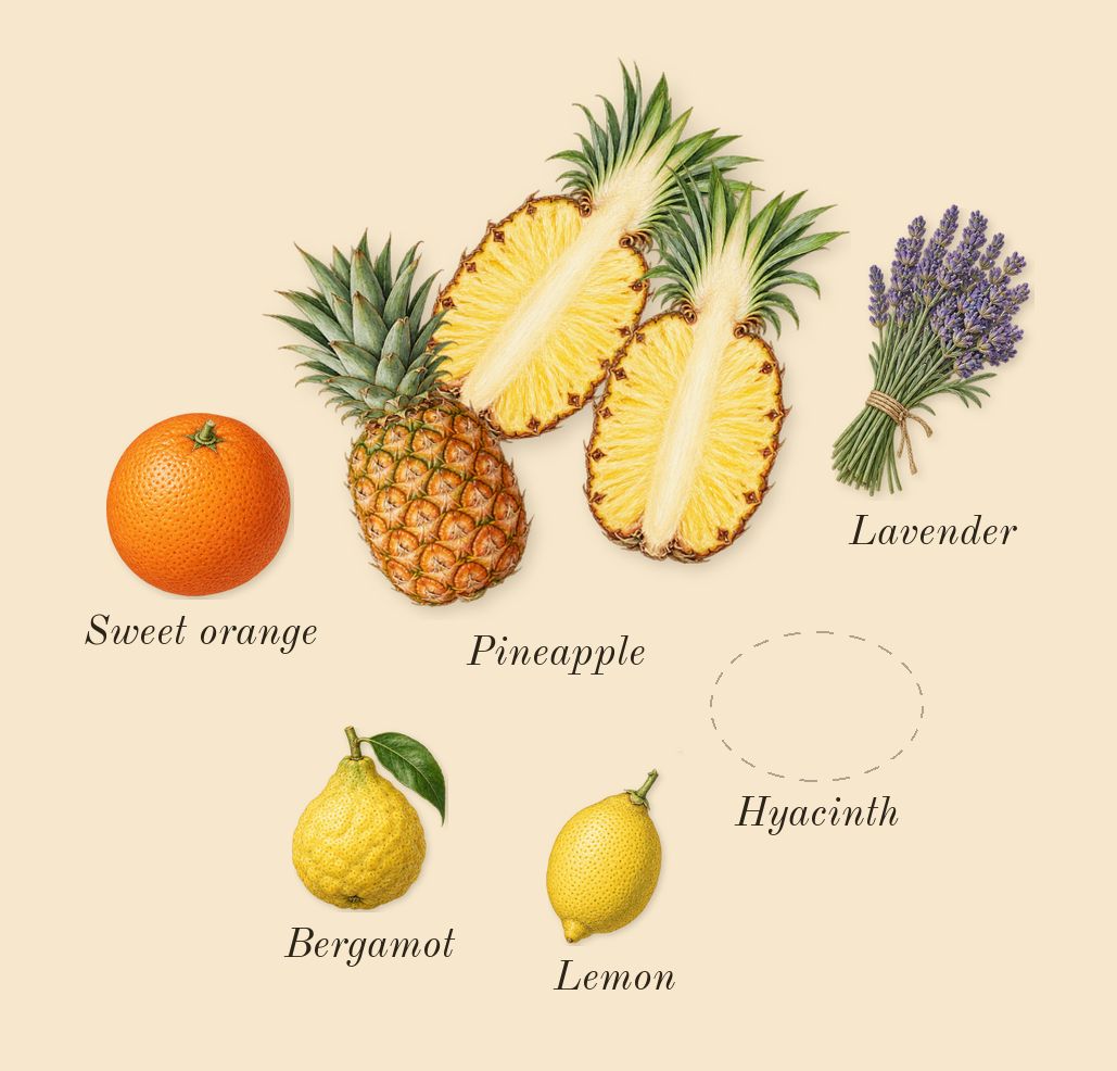 Accento, top notes: Pineapple, Hyacinth, Bergamot, Sweet orange, Lemon, Lavender