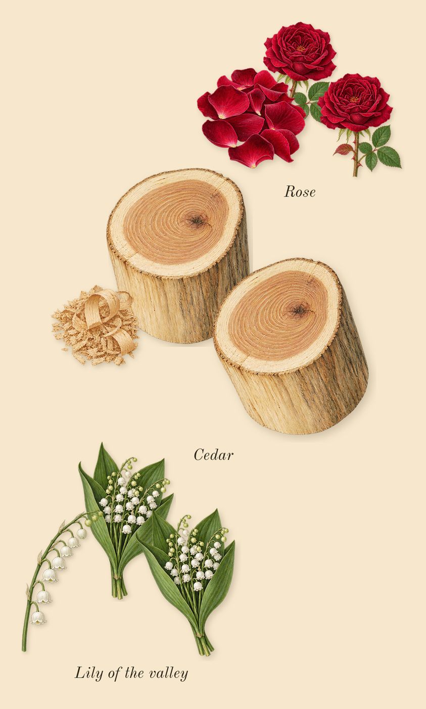 Alexandria II, heart: Cedar, Lily of the valley, Rose