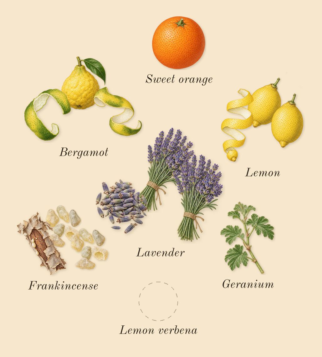 Naxos, top notes: Lemon, Bergamot, Lavender, Frankincense, Geranium, Sweet orange, Lemon verbena