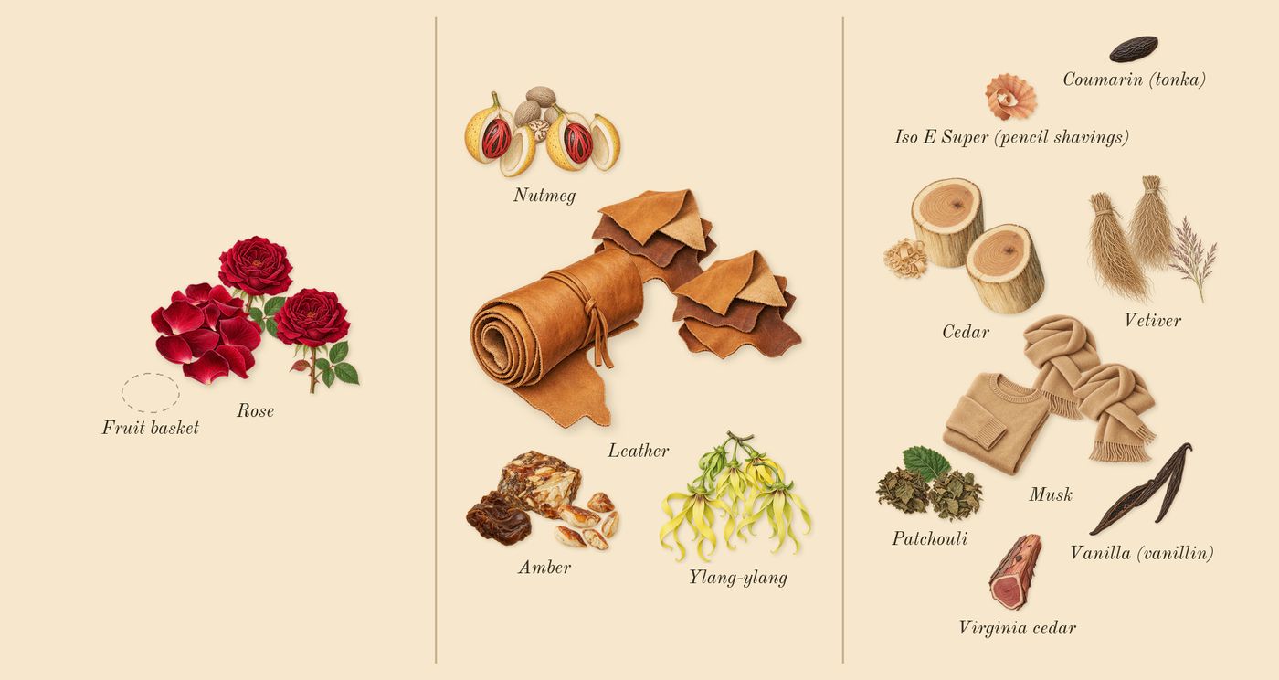 Opera’s scent picture, a draft: rose, leather, amber, nutmeg, ylang-ylang, cedar drawn so far; dashed outlines where nothing is drawn yet