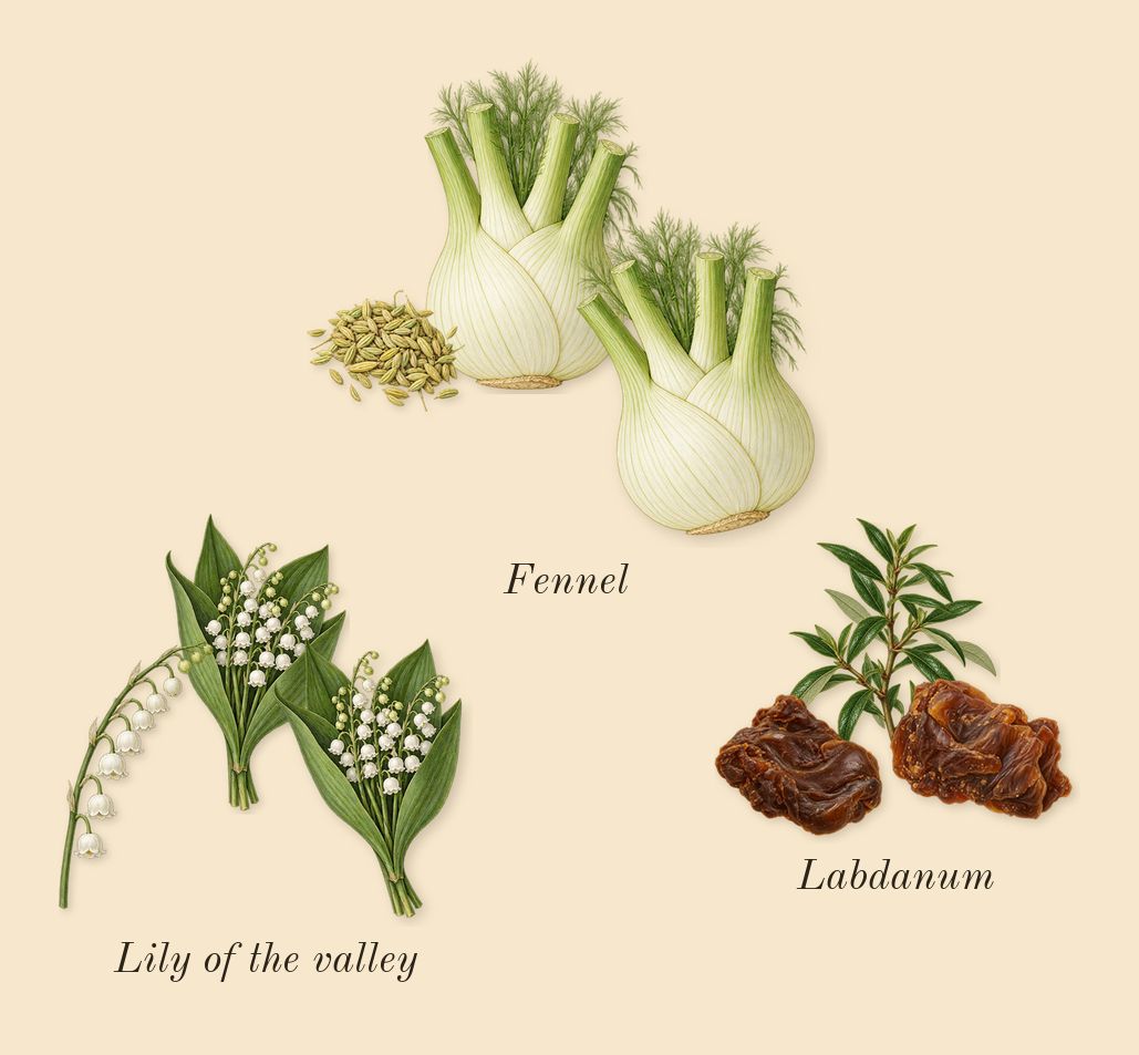Tempio d'Acqua, heart: Labdanum, Fennel, Lily of the valley
