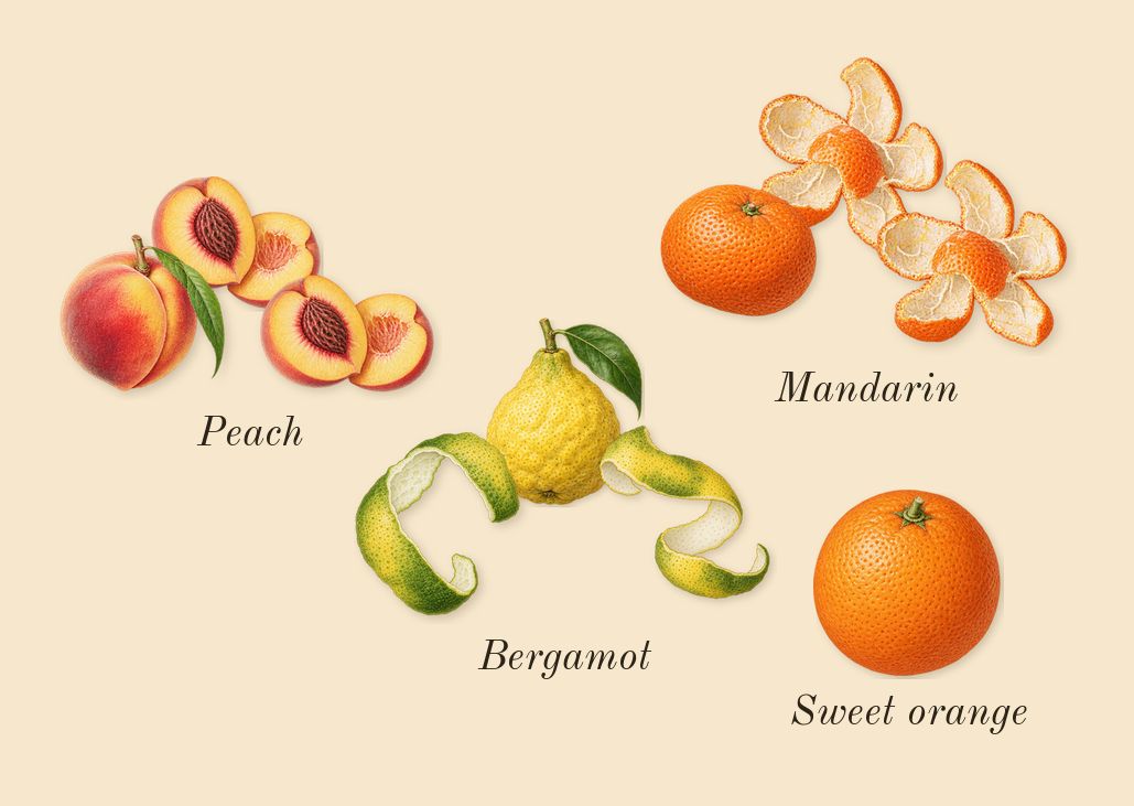 Tempio d'Acqua, top notes: Bergamot, Peach, Mandarin, Sweet orange