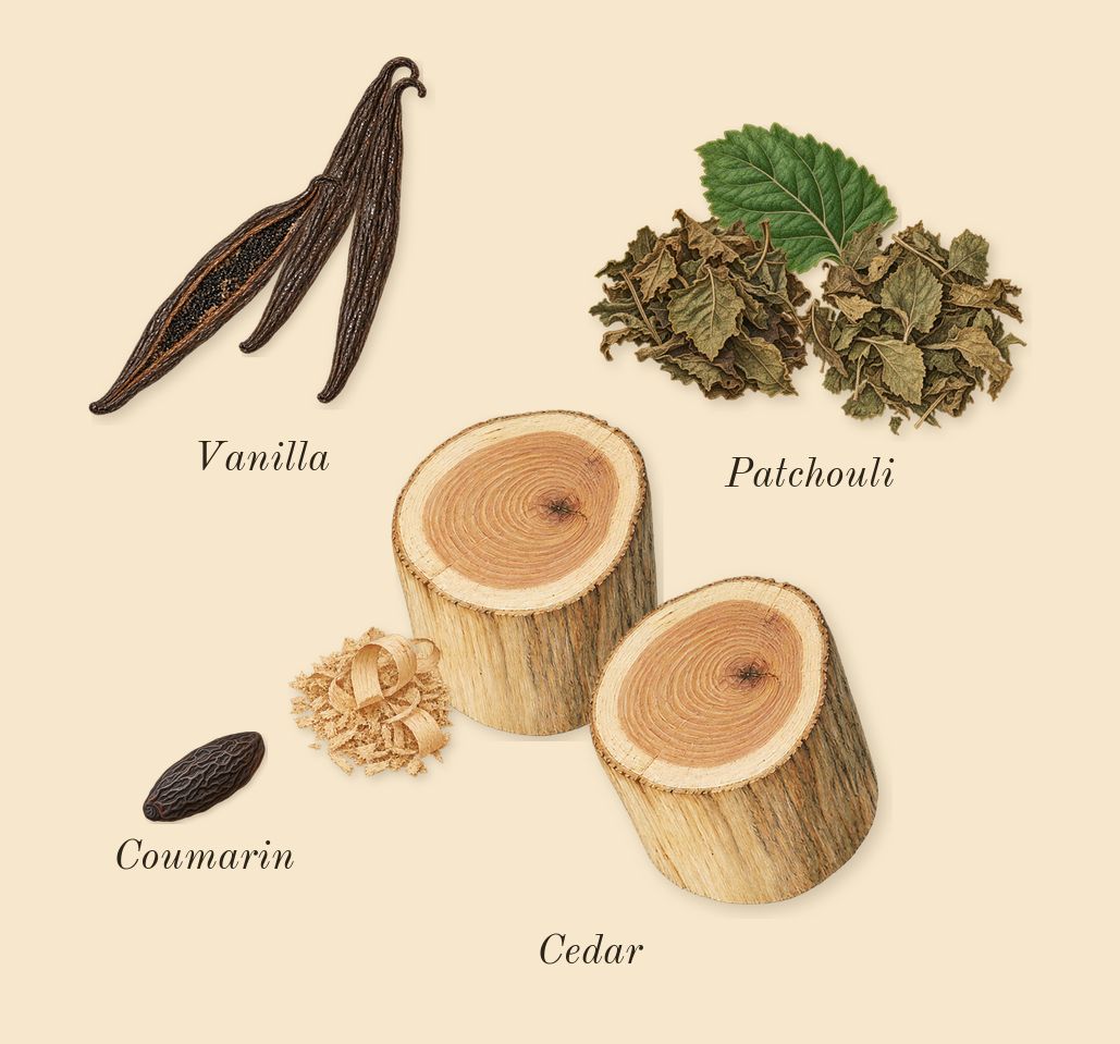 Black Opium, dry-down: Cedar, Patchouli, Vanilla, Coumarin