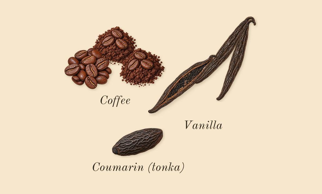 Black Opium Over Red, dry-down: Coffee, Vanilla, Coumarin (tonka)