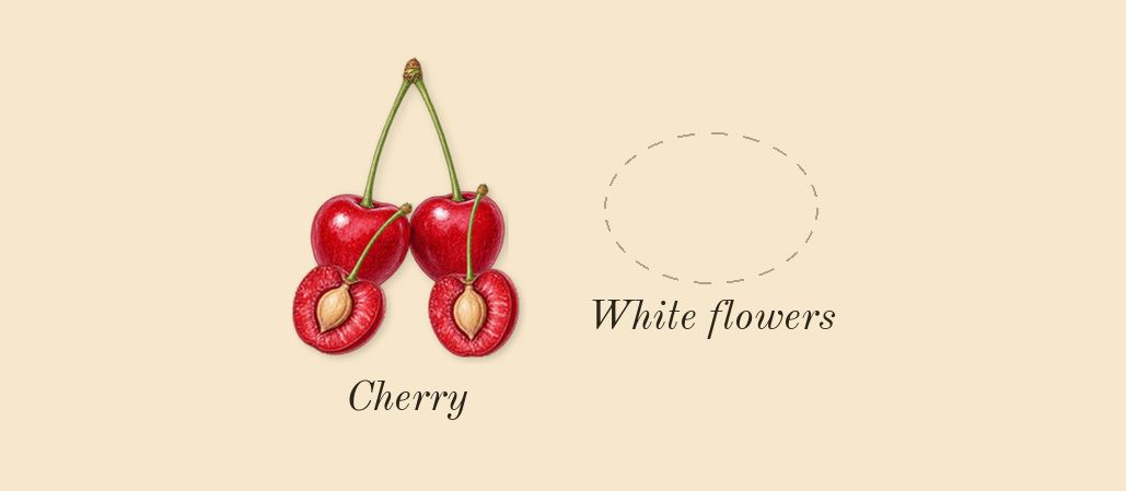 Black Opium Over Red, heart: Cherry, White flowers