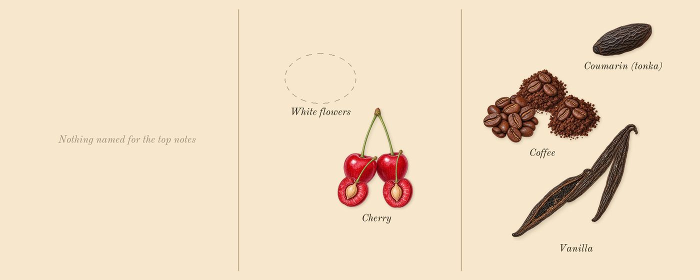 Black Opium Over Red’s scent picture, a draft: cherry, coffee, vanilla, coumarin (tonka) drawn so far; dashed outlines where nothing is drawn yet