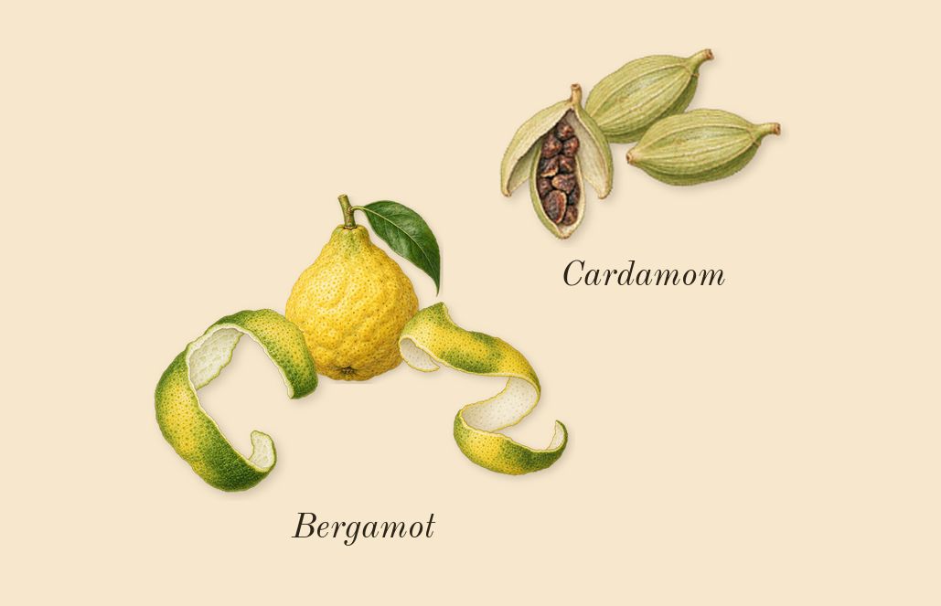 La Nuit de L'Homme, top notes: Bergamot, Cardamom