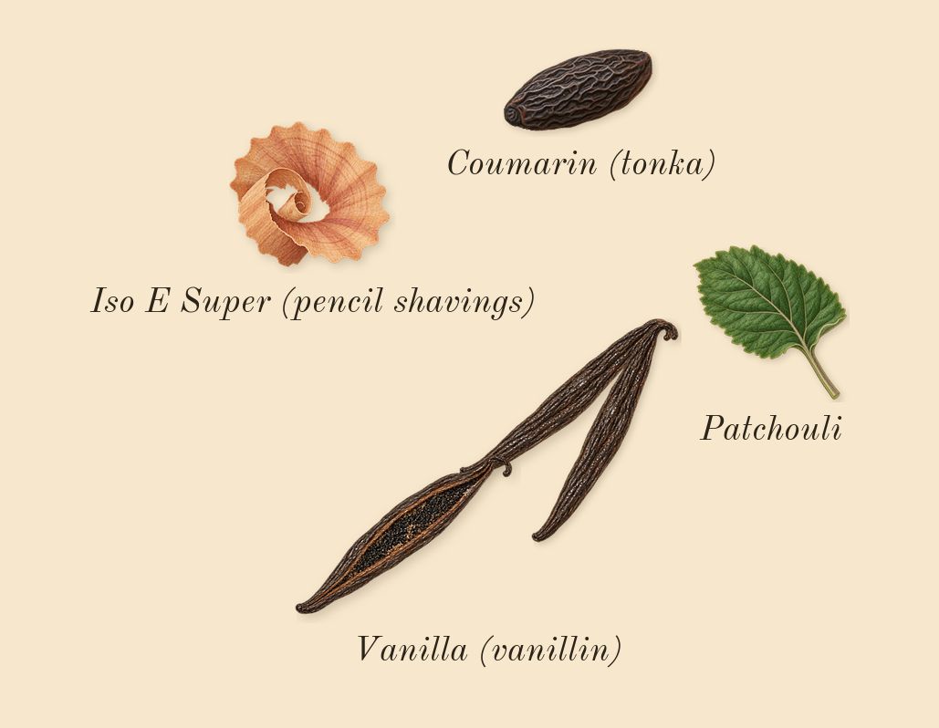 Libre Berry Crush, dry-down: Vanilla (vanillin), Patchouli, Iso E Super (pencil shavings), Coumarin (tonka)