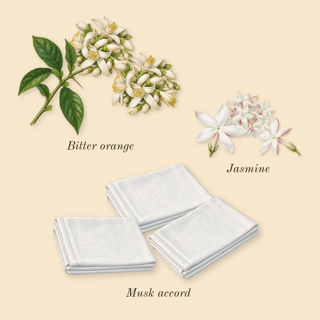 Libre, heart: Bitter orange, Musk accord, Jasmine
