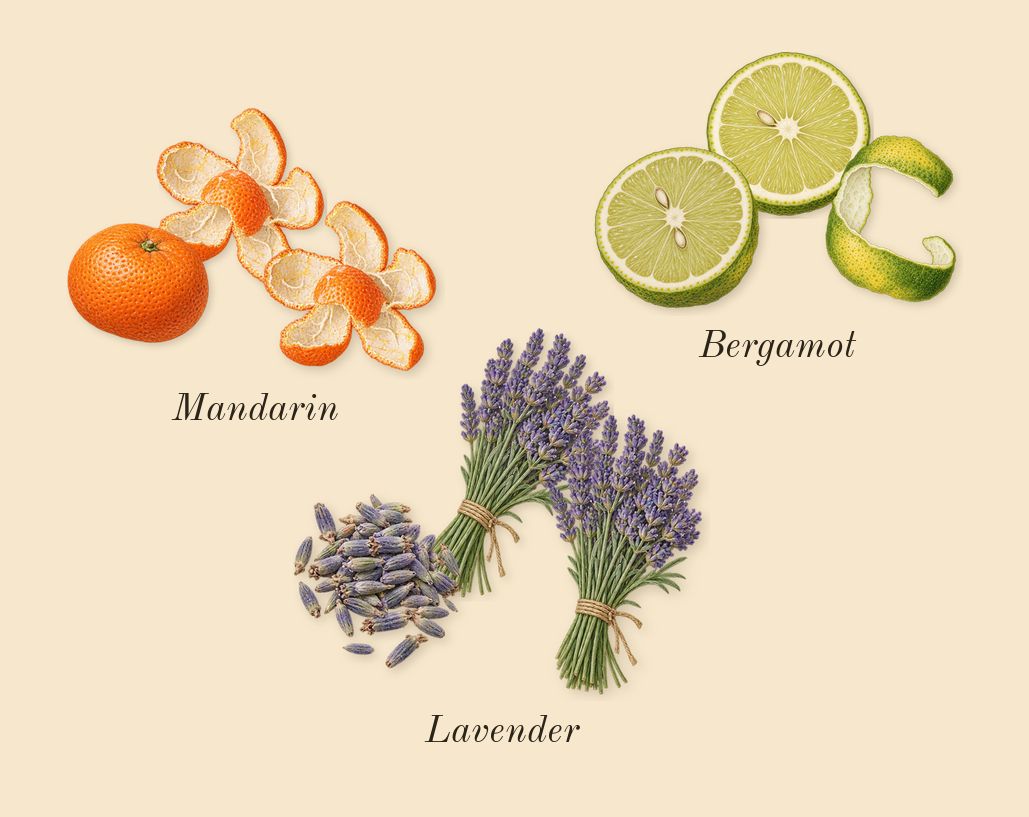 Libre, top notes: Lavender, Bergamot, Mandarin