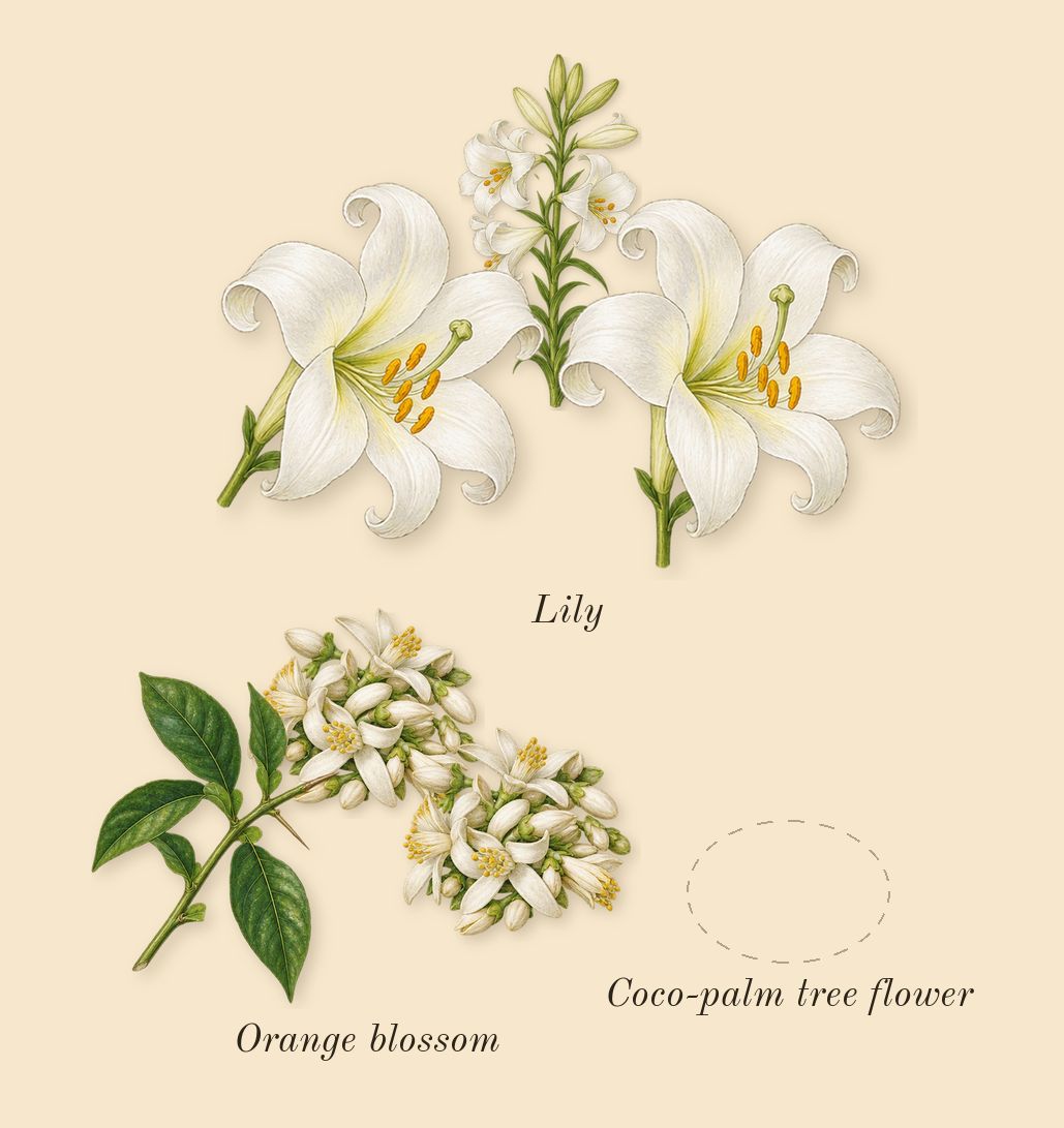 Libre Flowers & Flames, heart: Coco-palm tree flower, Lily, Orange blossom