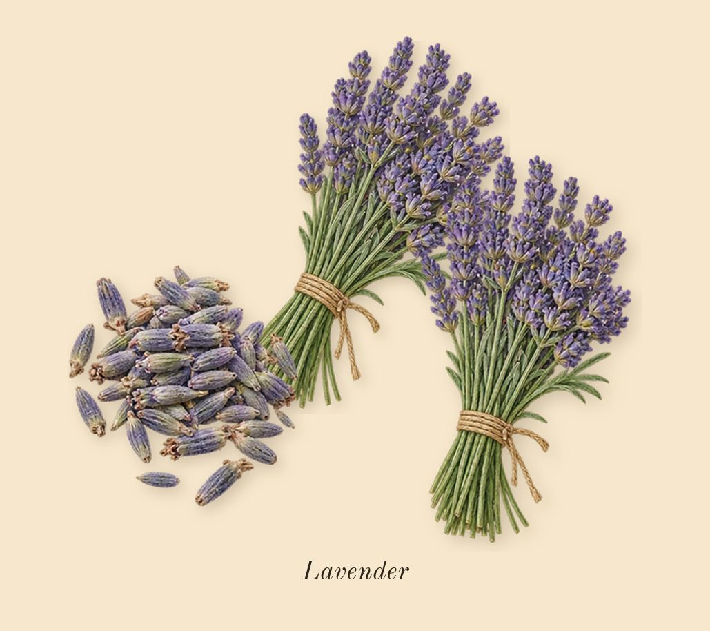 Libre Flowers & Flames, top notes: Lavender