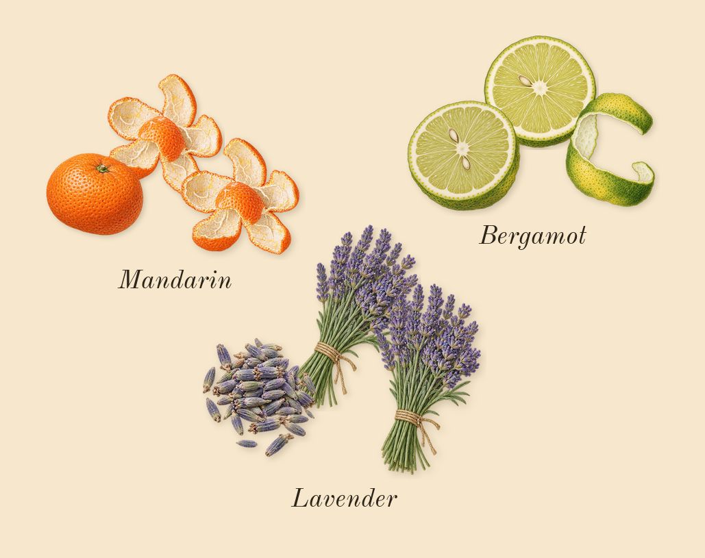 Libre, top notes: Mandarin, Bergamot, Lavender